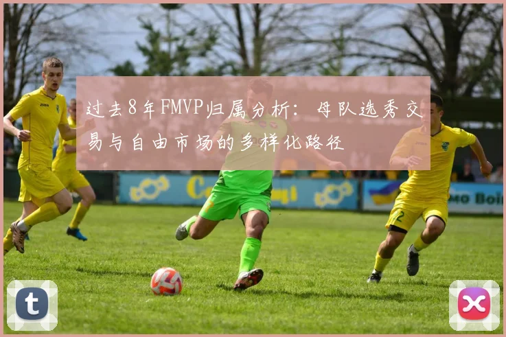 过去8年FMVP归属分析：母队选秀交易与自由市场的多样化路径